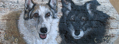 Pet Paintings